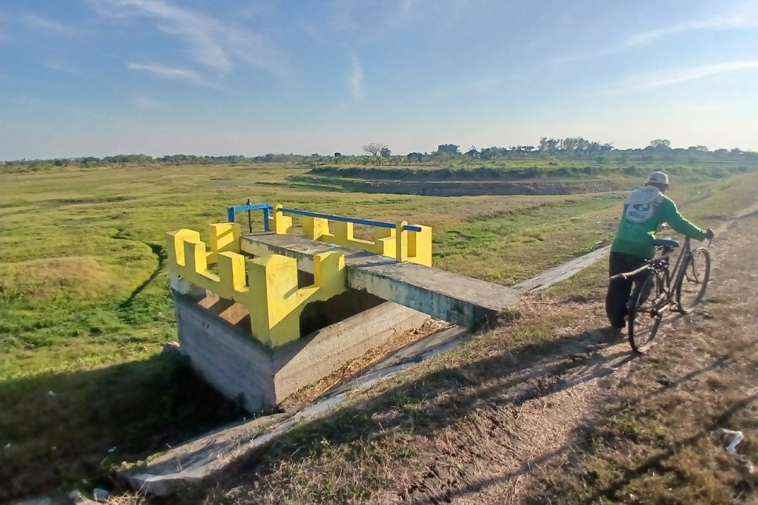 MENGERING: Mayoritas tampungan air sudah mengering, termasuk Waduk Lopang di Kecamatan Kembangbahu. (Anjar D. Pradipta / Radar Lamongan)