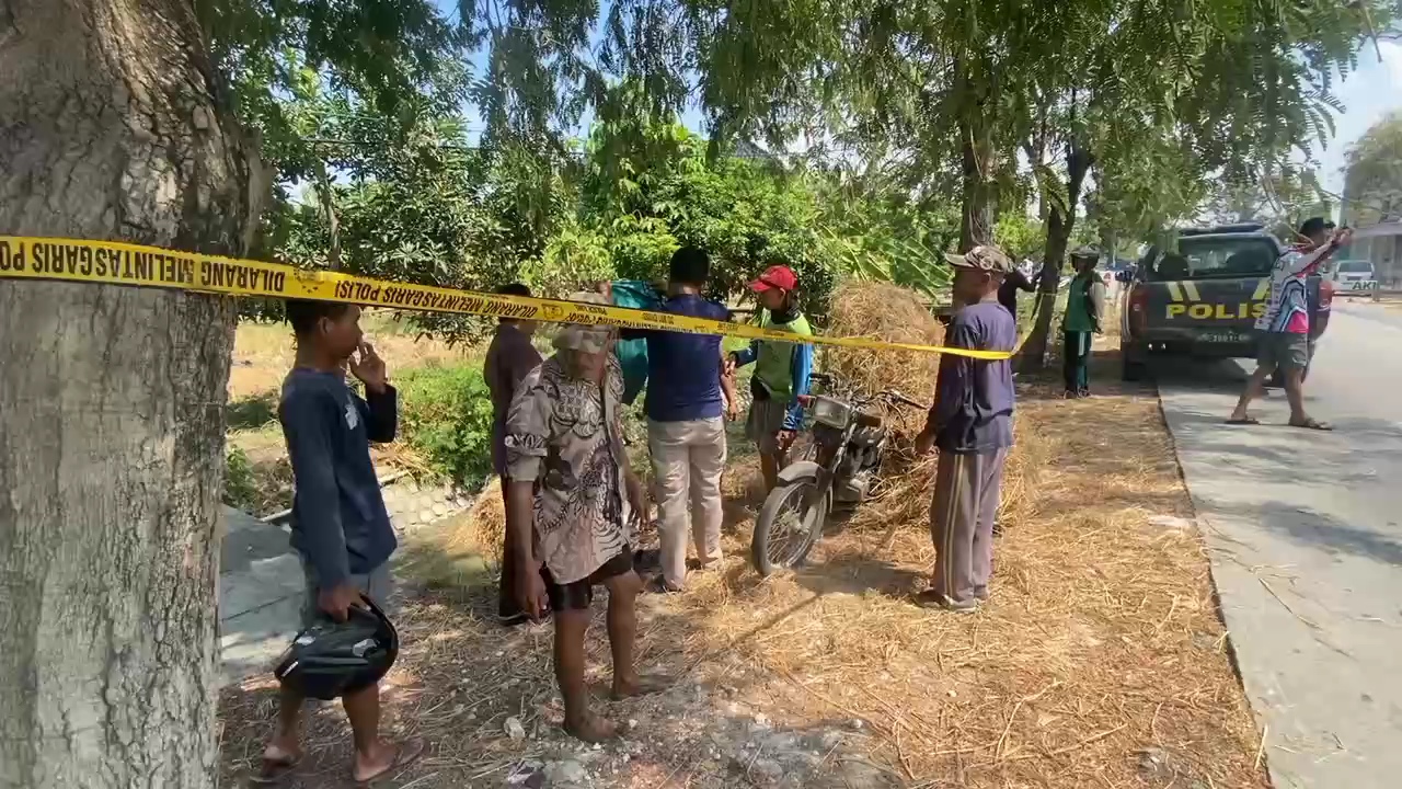 DIBERI GARIS POLISI: Lokasi kejadian tewasnya pengangkut jerami di parit Desa Sumberwudi, Kecamatan Karanggeneng kemarin siang (11/9). (IST/RADAR LAMONGAN)