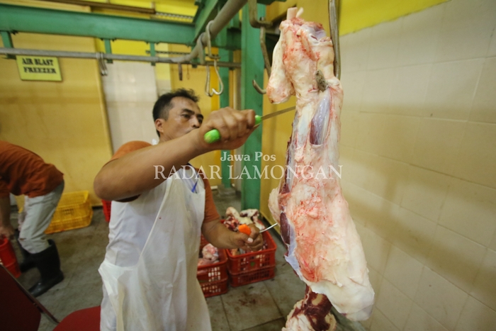DITARGET RP 280 JUTA: Rumah potong hewan dan unggas di Kecamatan Lamongan. (Anjar Dwi Pradipta/Radar Lamongan)