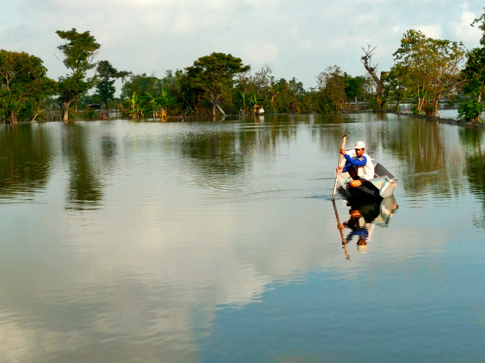 Debit air mayoritas sawah tambak di wilayah Bengawan Jero masih tinggi, yang menyebabkan masa tanam padi terpaksa mundur.