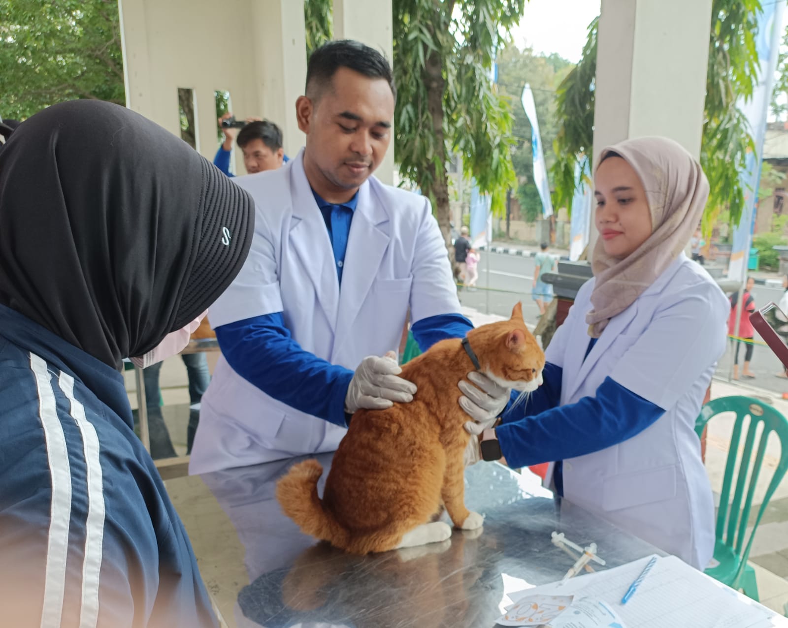PELAYANAN INOVATIF : Petugas Dinas Peternakan dan Kesehatan Hewan Lamongan melakukan pemeriksaan kucing di posyandu kucing saat gelaran pameran hewan eksotis di alun-alun Lamongan (15/6).