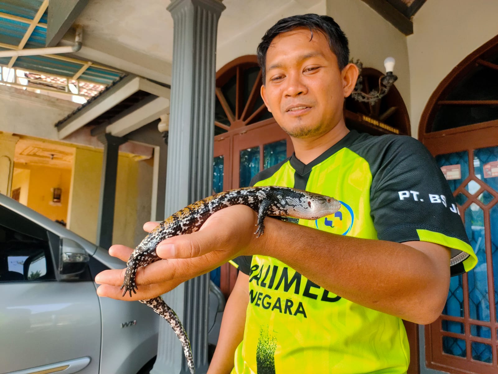 TAK BERBAHAYA: Muhammad Fendy saat memainkan kadal panana di rumahnya.