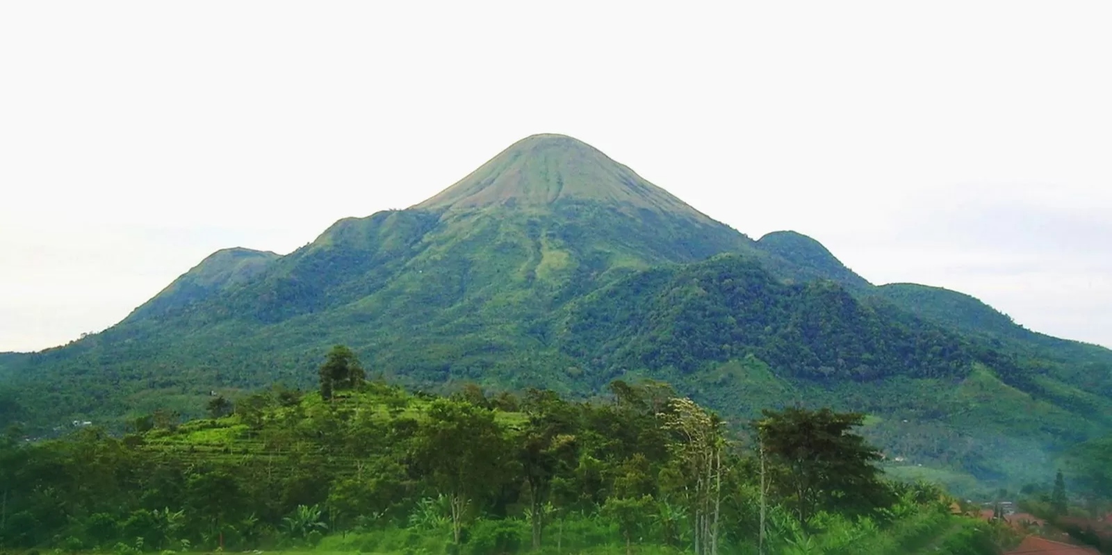 5 gunung di Mojokerto yang cocok untuk pendaki pemula. (Radar Mojokerto)