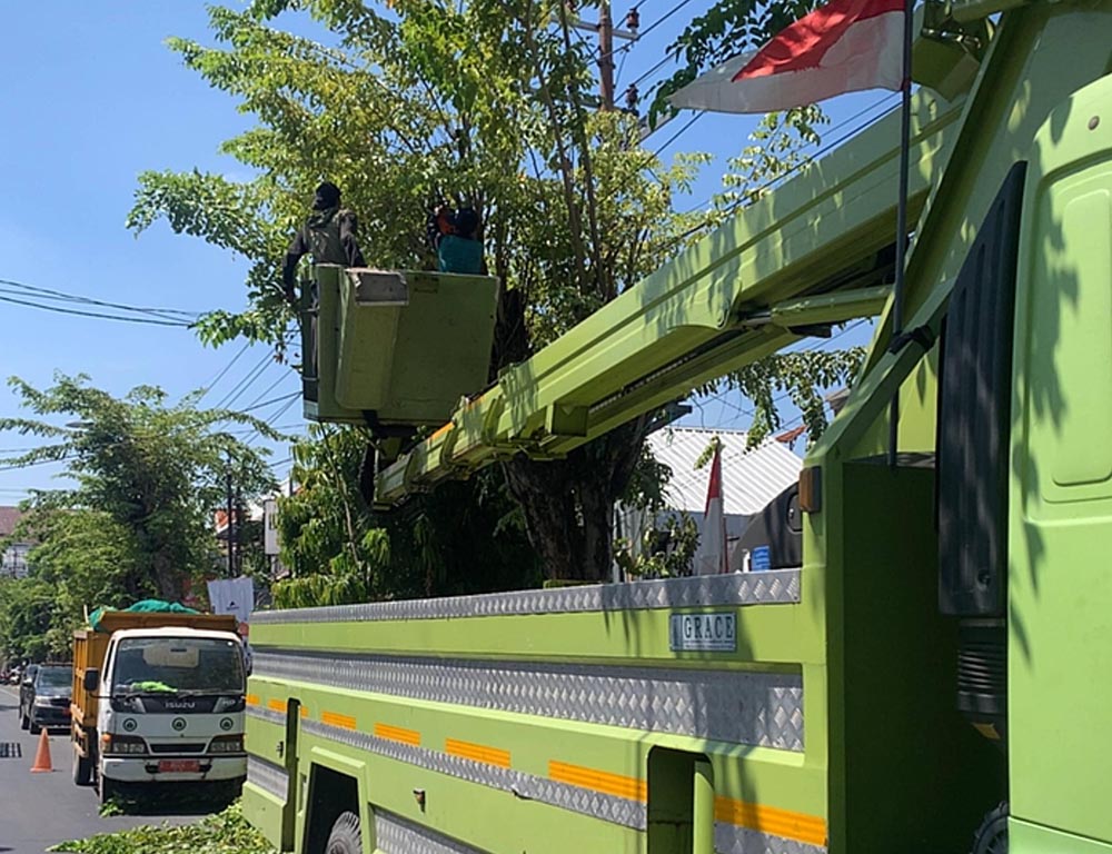 RAPIKAN POHON: Petugas Dinas Lingkungan Hidup Lamongan merampingkan pohon di pinggir jalan protokol. (IST/RDR.LMG)