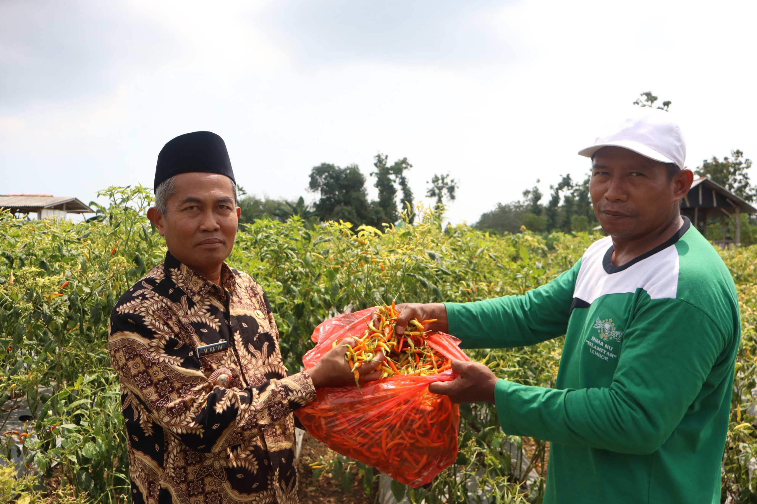 HASIL PERTANIAN: Kades Lembor, Kecamatan Brondong, H. M. Naim, S.Pd bersama petani Desa Lembor memperlihatkan hasil panen cabai.