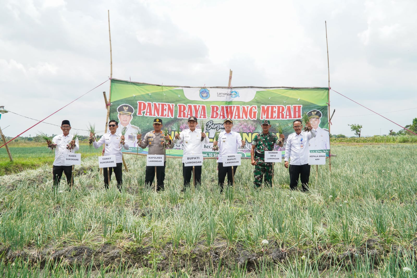 Bupati Yes dan Wabup Dirham beserta jajaran saat foto bersama Kapolres Lamongan dan Dandim 0812 saat panen bawang merah di Desa/ Kecamatan Sukorame.