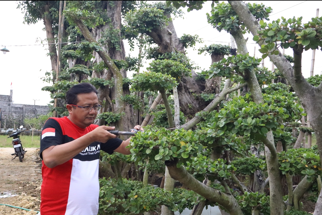 Ketua Dewan Perwakilan Rakyat Daerah (DPRD) Lamongan, M. Freddy Wahyudi sedang merawat tanaman hias.