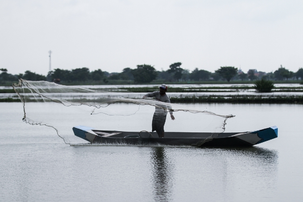 Petambak ikan di Lamongan.