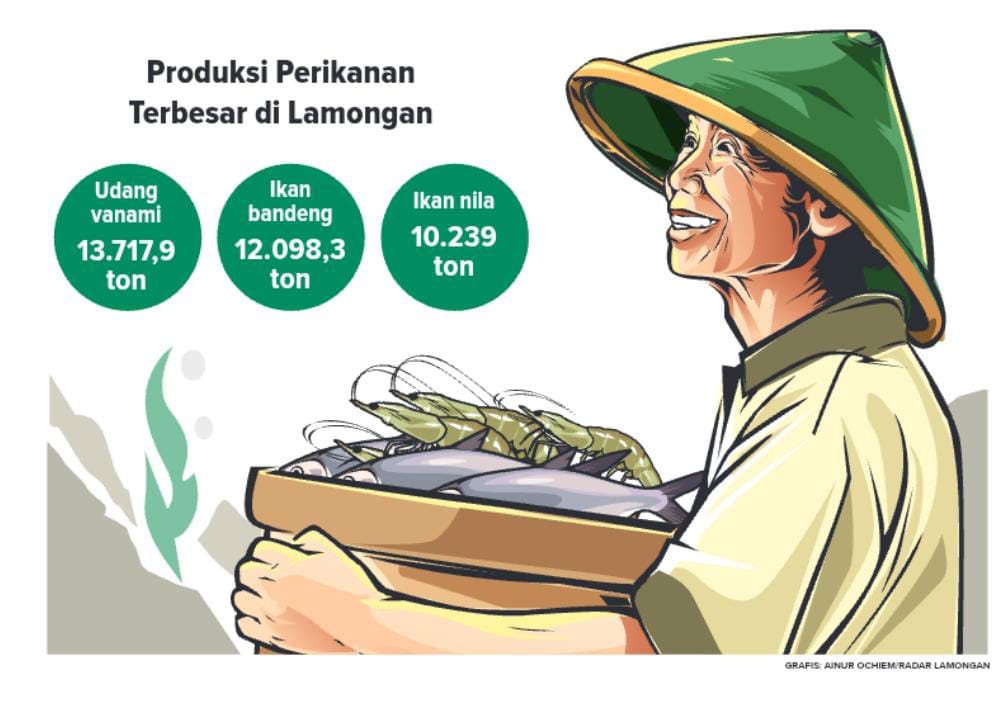 Produksi perikanan terbesar di Lamongan udang vanami selain lebih mahal dibandingkan bandeng, panennya juga dua kali. (Grafis: Ainur Ochiem/Radar Lamongan)