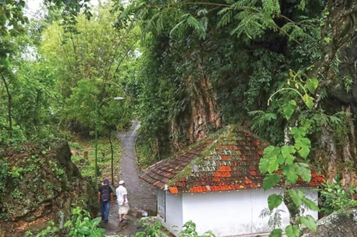 RIMBUN: Jalan kecil yang diapit oleh tebing kapur merupakan gerbang menuju petilasan Sunan Kalijaga. Jalan menanjak dan cukup licin. Para pengunjung harus ekstra hati-hati. (Guslan Gumilang/Jawa Pos)