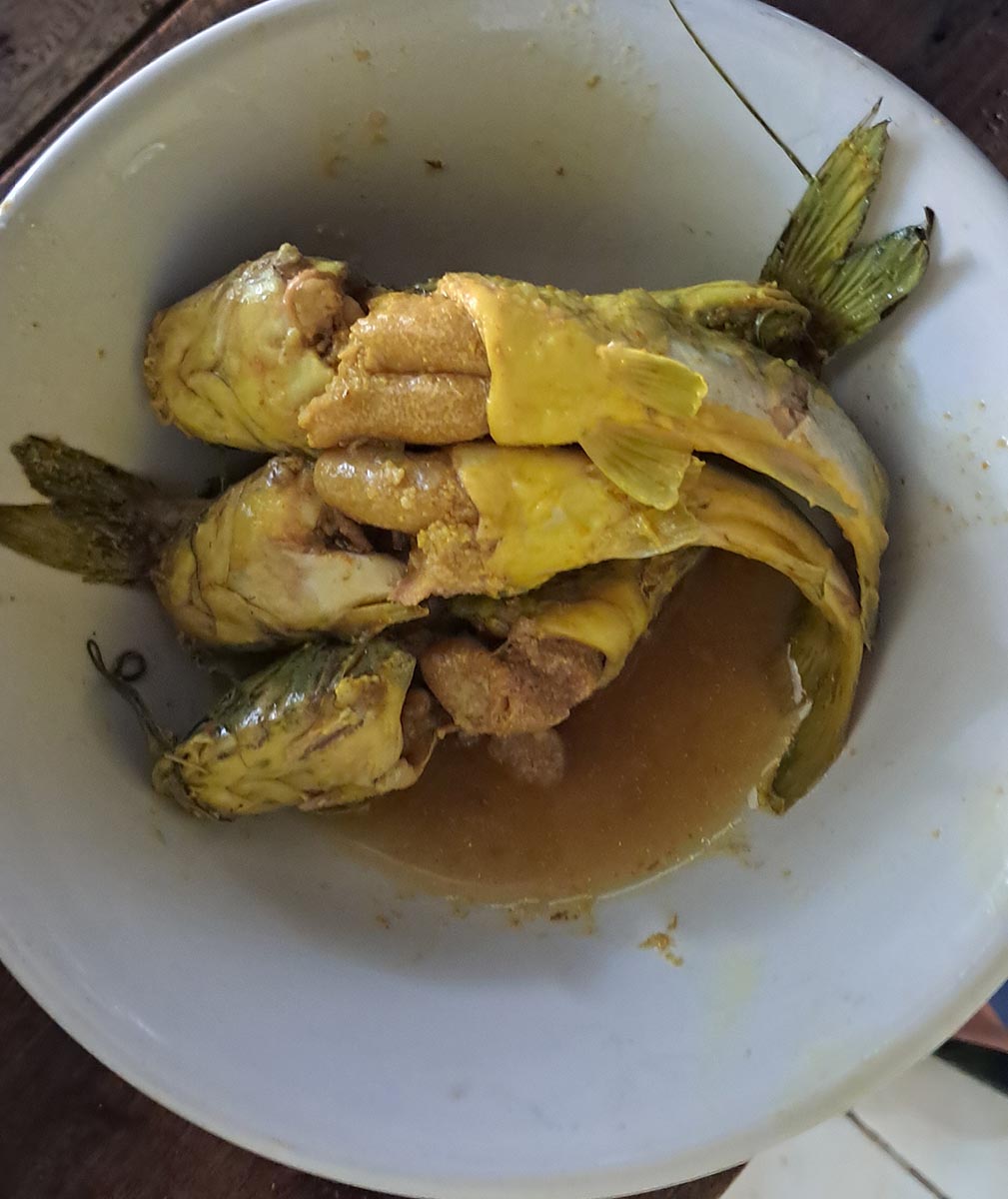MUSIMAN; Keting bertelur adanya lebih banyak di Oktober - November. (GAMAL A/RDR.LMG)