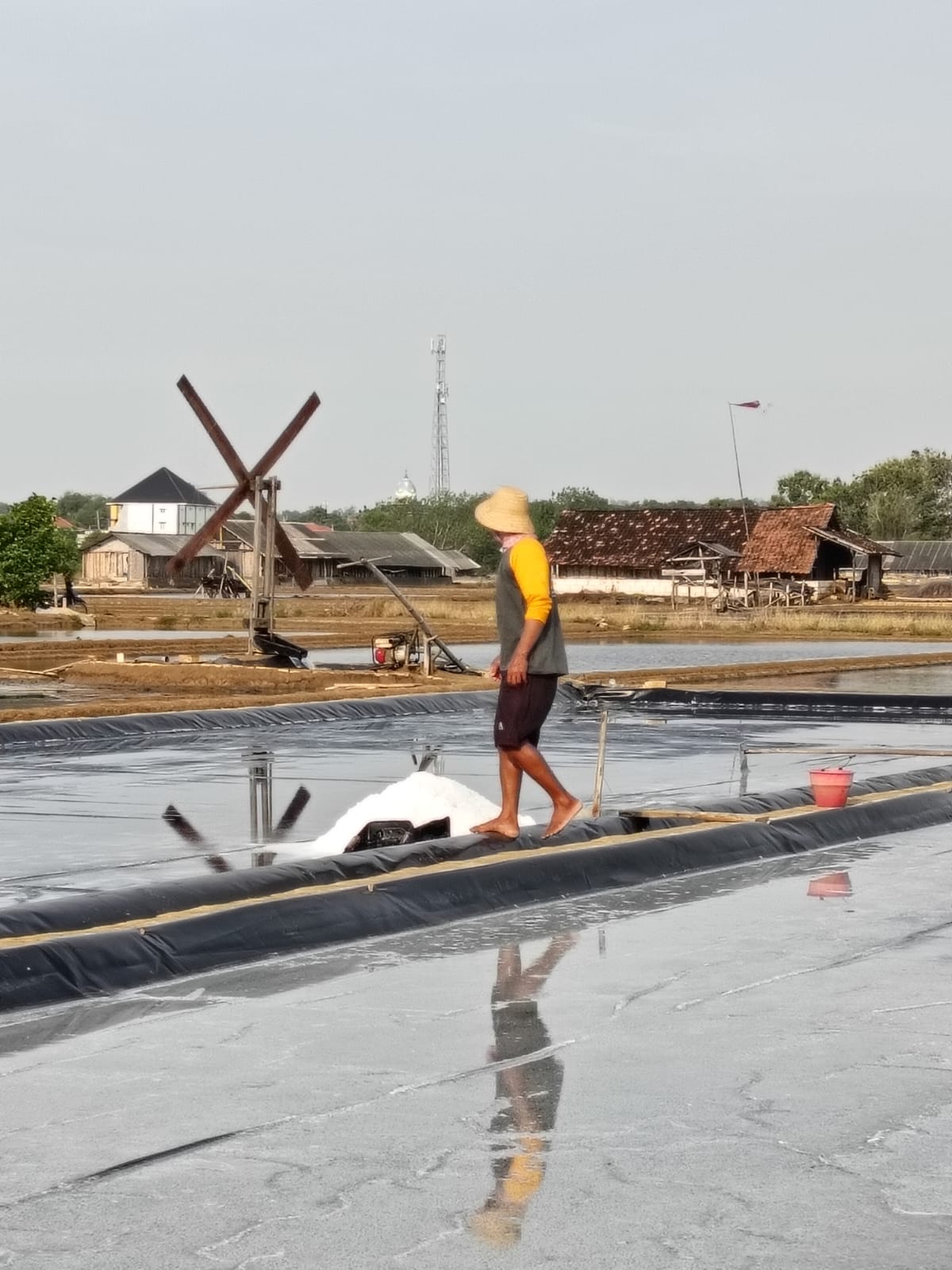 Memasuki musim penghujan, produksi petani garam di Kecamatan Brondong turun sekitar 50 persen.