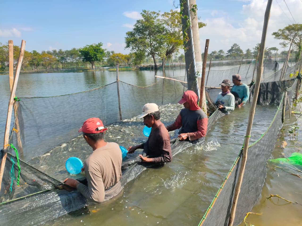 Petambak di Lamongan sangat menantikan realisasi pupuk bersubsidi di sektor perikanan.