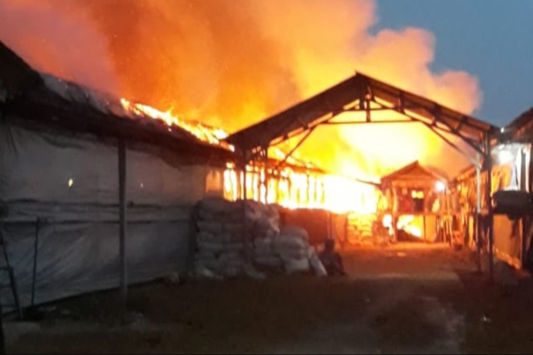 Kandang ayam di Desa Sedayulawas terbakar. Kerugian ditaksir hingga Rp. 2 miliar.