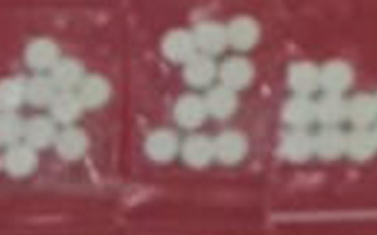 PEREDARANNYA DIBERANTAS: Pil dobel L yang sudah dikemas. (IST/RDR.LMG)