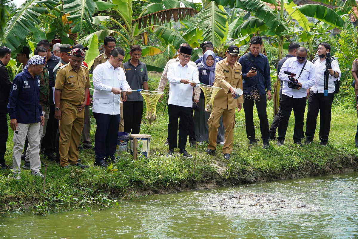 KOLABORASI: Menteri Desa, Pembangunan Daerah Tertinggal Yandri Susanto, bersama Wamen Riza didampingi Bupati Yes meninjau BUMDes budidaya lele di Desa Plosowahyu, Lamongan, Senin. (HUMAS KOMINFO/RDR.L