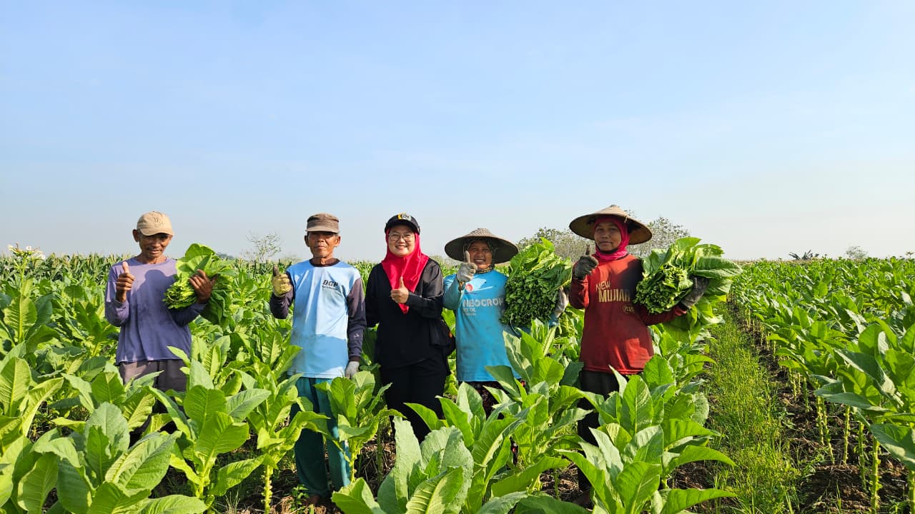 DEKAT PETANI: Ketua Fraksi PDI Perjuangan DPRD Lamongan, Erna Sujarwati bersama petani tembakau, serap aspirasi.