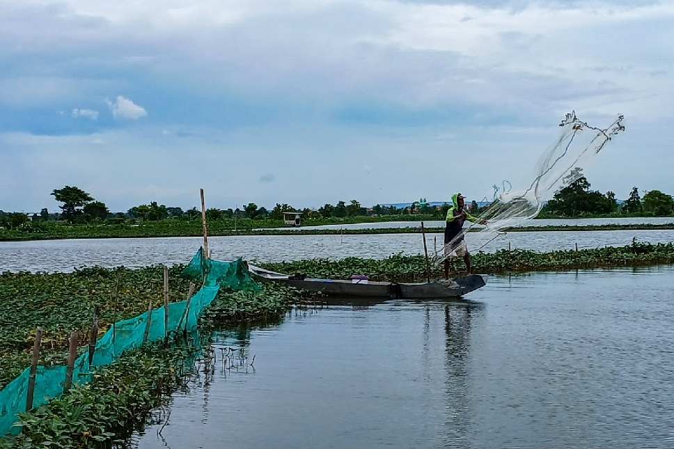Terancam Merugi, Petambak terdampak Banjir Bengawan Jero Lamongan lakukan Panen Dini.