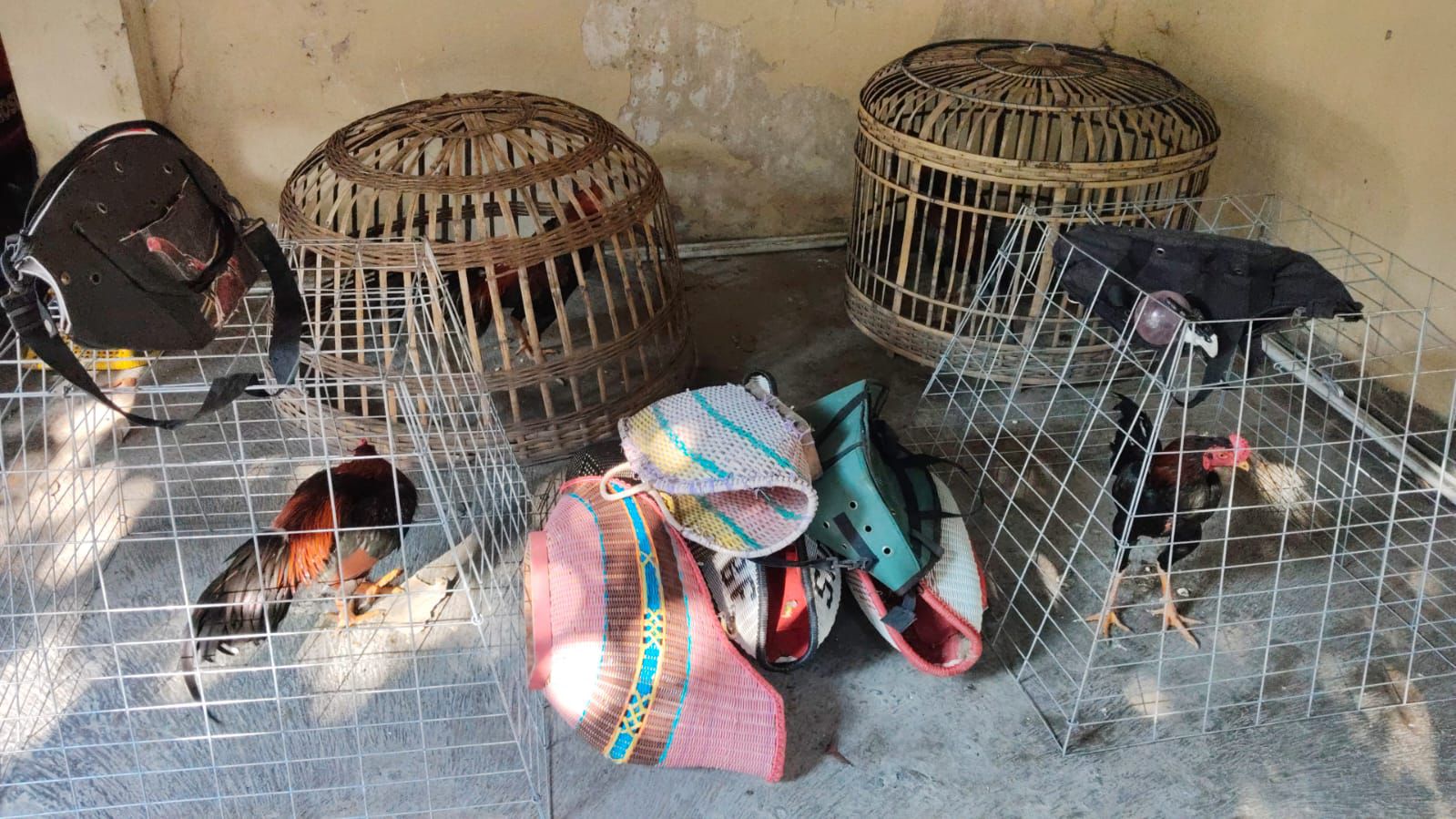 Barang bukti yang diamankan petugas di arena judi sabung ayam Desa Moropelang, Kecamatan Babat, Kamis (5/2)
