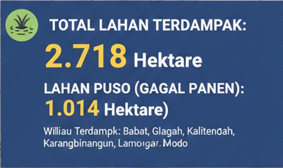 Grafis lahan pertanian terdampak banjir. (Gemini AI)