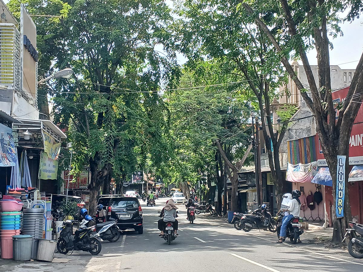 PROGRAMKAN PERAMPINGAN: Pohon yang ada di pinggir jalan protokol. (ANJAR DWI PRADIPTA/RDR.LMG)