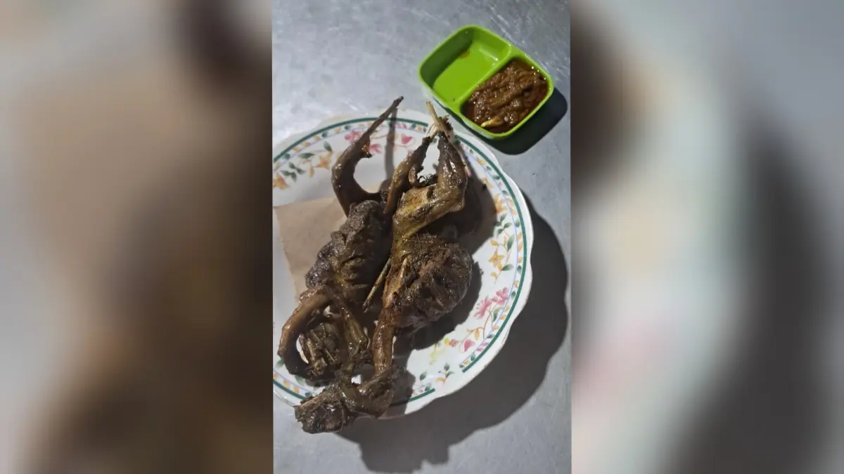 Sajian burung kowak goreng lengkap dengan sambalnya. (Gamal A/Radar Lamongan) 