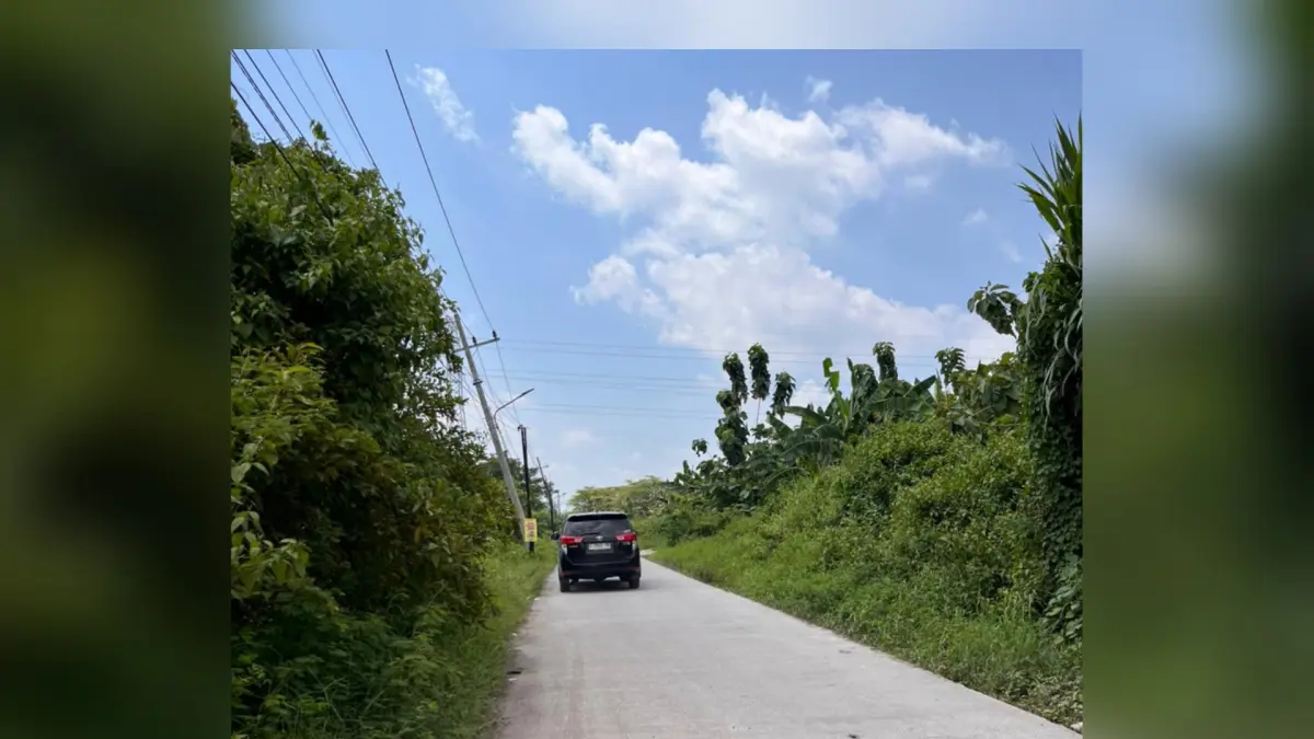 PROYEK KEBERLANJUTAN: Salah satu jalan lingkungan di Lamongan. Dinas Bina Marga, Cipta Karya, dan Tata Ruang Lamongan merencanakan 273 jalan lingkungan yang diperbaiki.&nbsp;(Istimewa)

&nbsp;