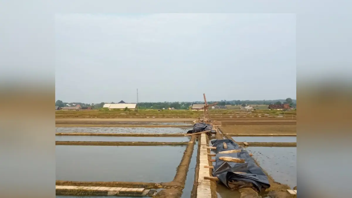 HARGA TURUN: Lahan garapan petani garam di wilayah Brondong.&nbsp;(Istimewa/Radar Lamongan) 