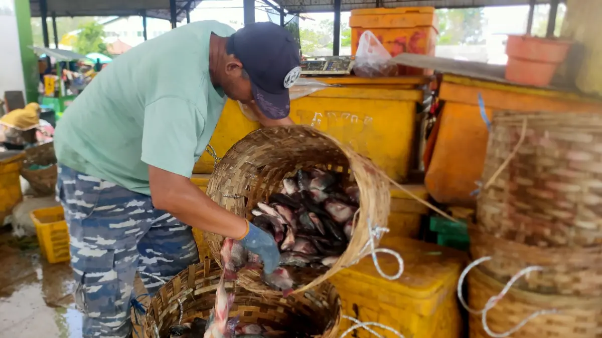 Sejumlah pedagang di Pasar Ikan Lamongan mengeluhkan harga ikan pekan ini cenderung lebih murah. (ASIP ALAFI/RADAR LAMONGAN)