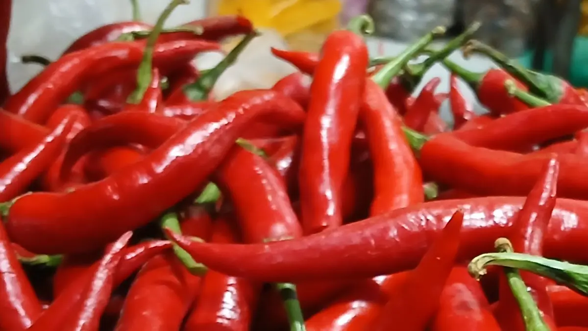 HARGA TURUN: Cabai merah besar yang dijual di Pasar Sidoharjo, Lamongan.&nbsp;(Dok/Radar Lamongan) 