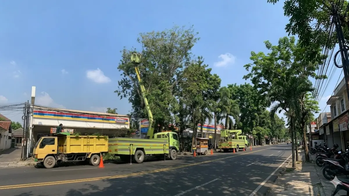 PERAMPINGAN: Petugas memangkas ranting dengan menggunakan alat bermesin.&nbsp;(Istimewa/Radar Lamongan) 