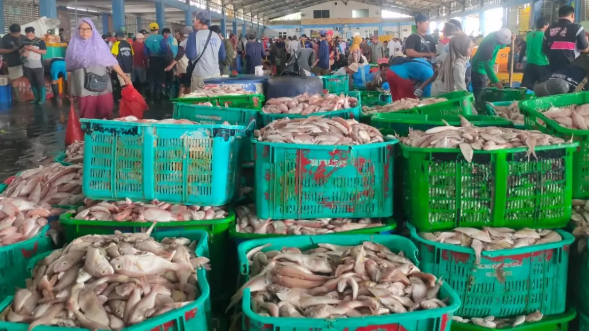 Aktivitas tempat pelelangan ikan di Pantura Lamongan. (AHMAD ASIP/RADAR LAMONGAN)