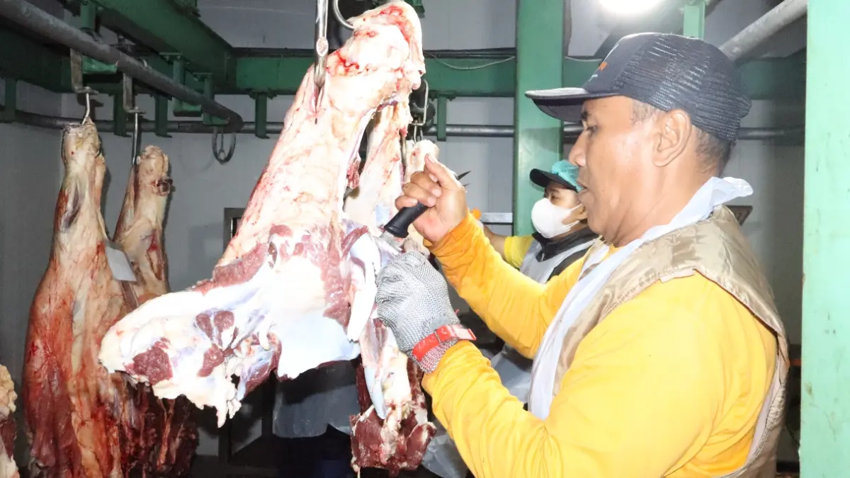 Realisasi target retribusi RPH Lamongan di triwulan kedua kurang sekitar Rp 5 juta. (AHMAD ASIP/RADAR LAMONGAN)