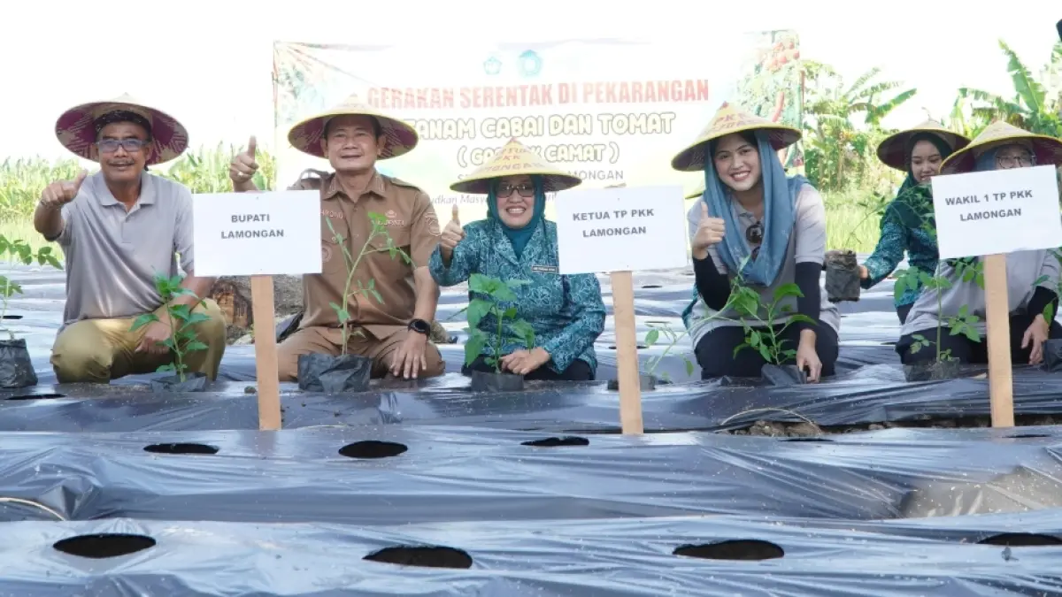 Bupati Yes bersama istri dan jajaran melaksanakan Gerakan Serentak di Pekarangan Tanam Cabai dan Tomat (GAS PAK CAMAT) di Desa Tejoasri, Kecamatan Laren. (DOK. HUMAS KOMINFO LAMONGAN/RADAR LAMONGAN)