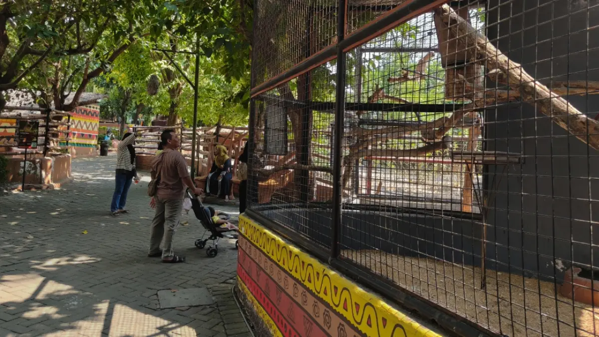 Manajemen&nbsp;Maharani&nbsp;Zoo&nbsp;mulai&nbsp;kelimpungan&nbsp;memenuhi&nbsp;pakan&nbsp;seluruh&nbsp;hewan&nbsp;karena&nbsp;pemasukan&nbsp;masih&nbsp;cukup&nbsp;minim.&nbsp;(ISTIMEWA/RADAR LAMONGAN)