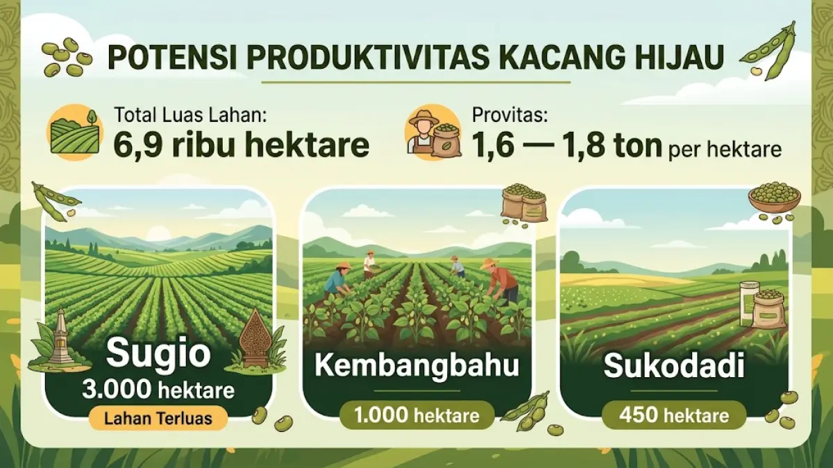 Lahan petani kacang hijau terluas berada di Kecamatan Sugio. (Google Gemini) 