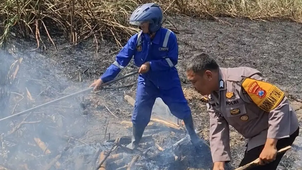 PEMADAMAN: Petugas mendatangi lokasi kejadian untuk memastikan api tidak berkobar lagi.&nbsp;(Istimewa/Radar Lamongan) 
