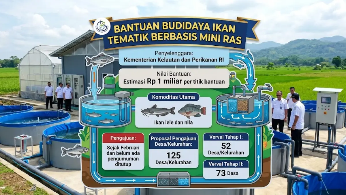 Alur bantuan budidaya ikan tematik berbasis mini RAS dari KKP. (Google Gemini) 