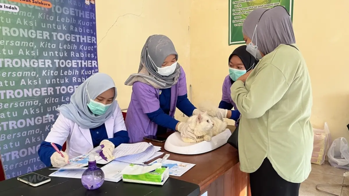 TARGETKAN 250 HEWAN: Kucing yang mendapatkan vaksin rabies.&nbsp;(Istimewa/Radar Lamongan)