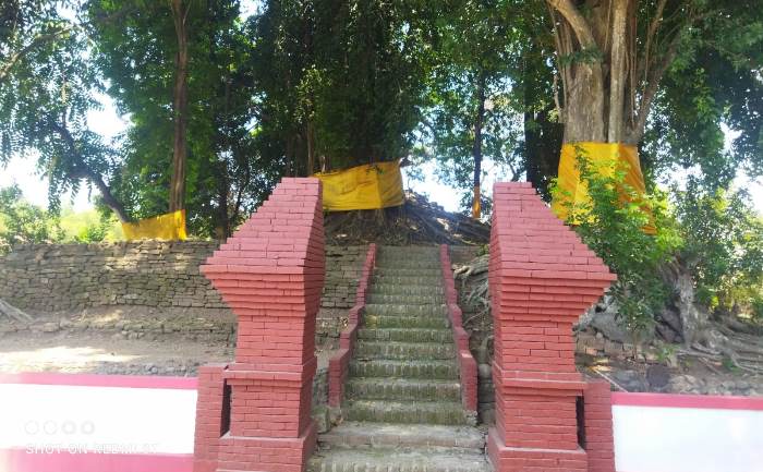 DISAKRALKAN: Pintu masuk di Candi Winong, di Dusun Kademangan, Desa/Kecamatan Dlanggu. Candi tersebut dikelilingi pepohonan Winong berukuran besar. (Foto M. Khasib for Radar Majapahit)