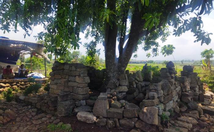 ASRI: Rindangnya pepohonan juwet dan jernihnya sumber mata air di areal situs Candi Gilang, Dusun Kedungasem, Desa Kedung Gede, Kecamatan Dlanggu. (foto Moch. Khasib for Radar Majapahit)