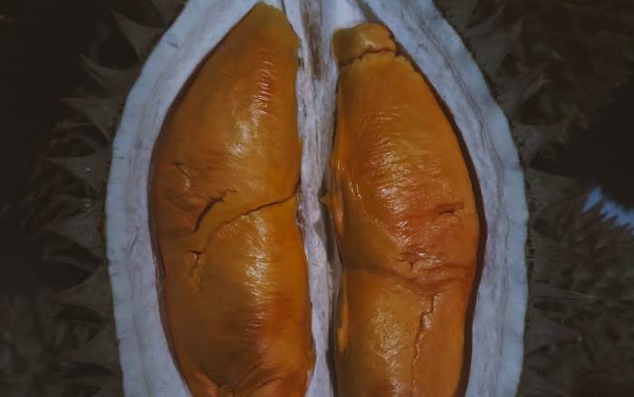 LEGIT: Durian jenis simas dikenal rendah kolesterol dan rendah gula.