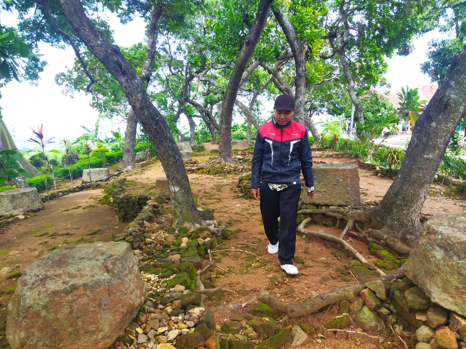 RINDANG: Situs Umpak Lebak Jabung, di Desa Lebak Jabung, Kecamatan Jatirejo, Kabupaten Mojokerto ditumbuhi sejumlah pohon jambu mente. (foto: Moch. Khasib for Radar Majapahit)