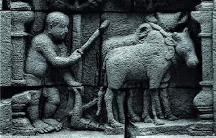 JEJAK PERADABAN: Relief orang membajak sawah   menggunakan due ekor sapi di dinding Candi Borobudur.