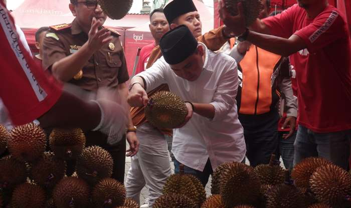 JENIS LOKAL: Wakil Bupati Muhammad Albarraa atau Gus Barra memilih durian yang disuguhkan panitia. (foto: Avin for Radar Majapahit).