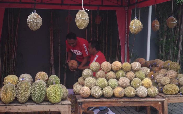BERAGAM: Ratuan durian lokal pilihan siap dinikmati bersama dalam event Pesta Durian Runtuh di Kantor Jawa Pos Radar Mojokerto. (foto: Avin for Radar Majapahit)