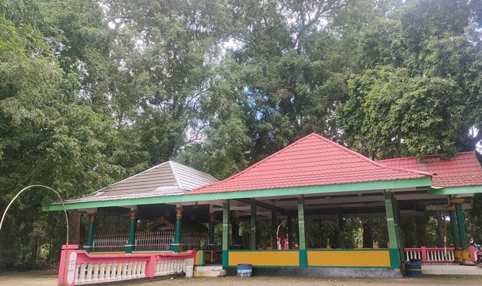 RINDANG: Di areal Makam Mbah Sentono terdapat sejumlah pepohonan berukuran besar yang menambah kesan teduh dan sunyi. (foto: Misbakhul Ulum for Radar Majapahit)