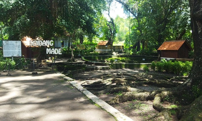 RIMBUN: Suasana teduh pepohonan Sendang Made di Dusun/Desa Made, Kecamatan Kudu, Kabupaten Jombang. (foto: Moch Khasib for Radar Majapahit)