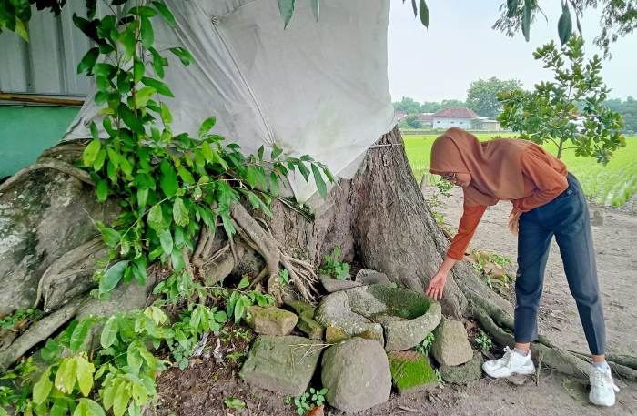 BUKTI SEJARAH: Sebuah lumpang batu andesit bukti sejarah komplek pemakaman prajurit Mataram di Desa Puloniti, Kecamatan Bangsal, Kabupaten Mojokerto. (foto: Moch. khasib for Radar Majapahit)
