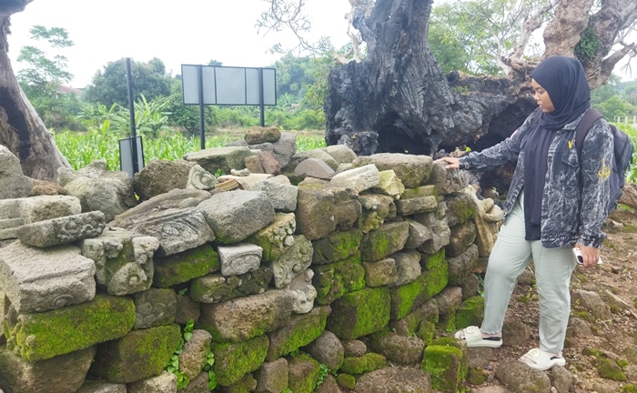 DIRAWAT: Pengunjung mengamati batu andesit bermotif kuno di Situs Kemasantani, Dusun Ketanen, Desa Kemasantani, Kecamatan Gondang, Kabupaten Mojokerto. (foto: Moch. Khasib for Radar Majapahit)